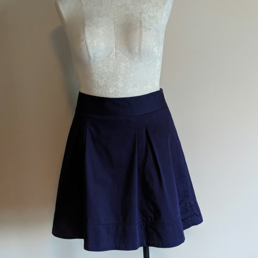 The Limited skirt